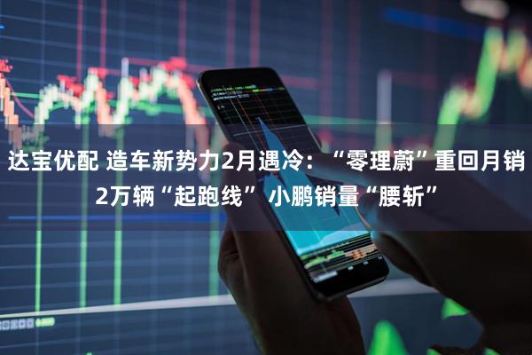 达宝优配 造车新势力2月遇冷：“零理蔚”重回月销2万辆“起跑线” 小鹏销量“腰斩”
