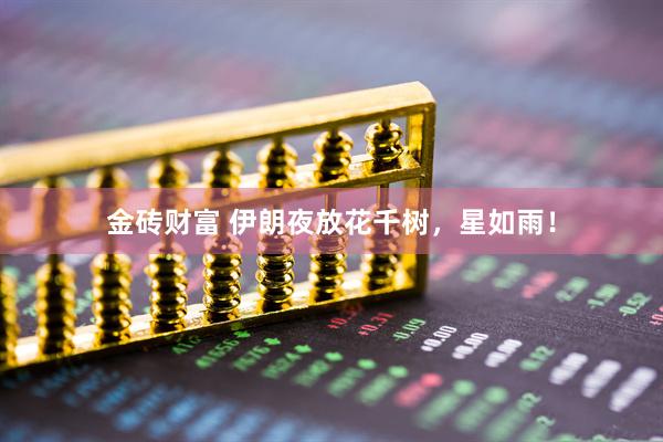 金砖财富 伊朗夜放花千树，星如雨！