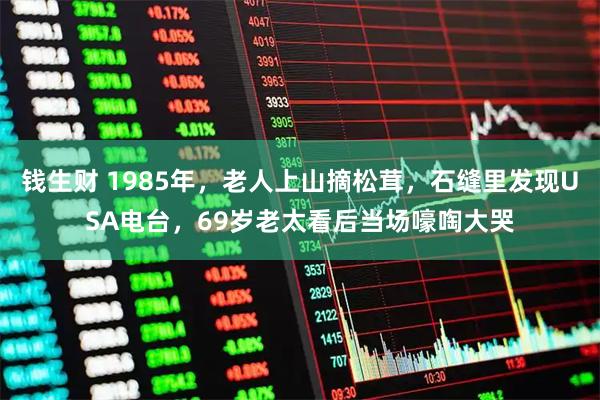 钱生财 1985年，老人上山摘松茸，石缝里发现USA电台，69岁老太看后当场嚎啕大哭