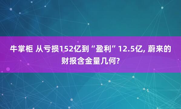牛掌柜 从亏损152亿到“盈利”12.5亿, 蔚来的财报含金量几何?