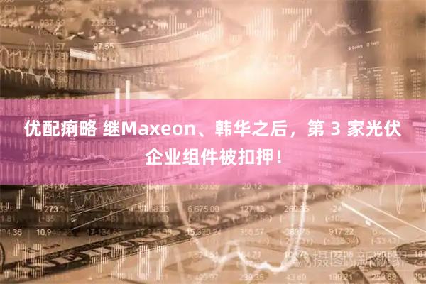 优配痢略 继Maxeon、韩华之后，第 3 家光伏企业组件被扣押！