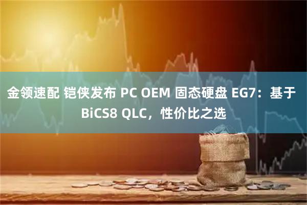 金领速配 铠侠发布 PC OEM 固态硬盘 EG7：基于 BiCS8 QLC，性价比之选