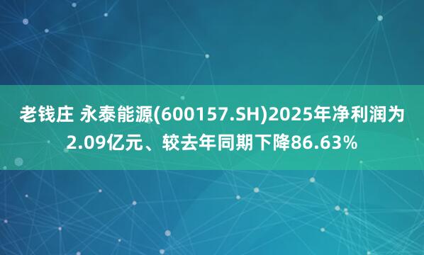 老钱庄 永泰能源(600157.SH)2025年净利润为2.09亿元、较去年同期下降86.63%