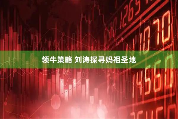 领牛策略 刘涛探寻妈祖圣地