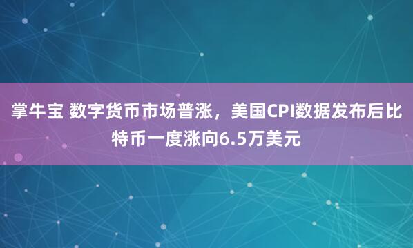 掌牛宝 数字货币市场普涨，美国CPI数据发布后比特币一度涨向6.5万美元