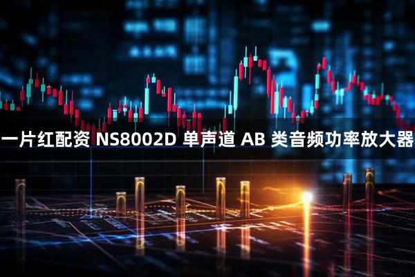 一片红配资 NS8002D 单声道 AB 类音频功率放大器