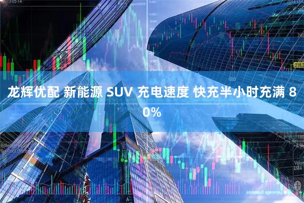 龙辉优配 新能源 SUV 充电速度 快充半小时充满 80%