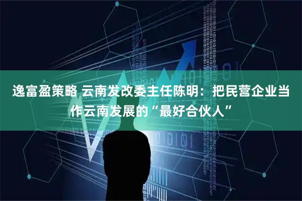 逸富盈策略 云南发改委主任陈明：把民营企业当作云南发展的“最好合伙人”