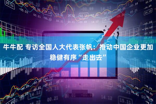 牛牛配 专访全国人大代表张帆：推动中国企业更加稳健有序“走出去”