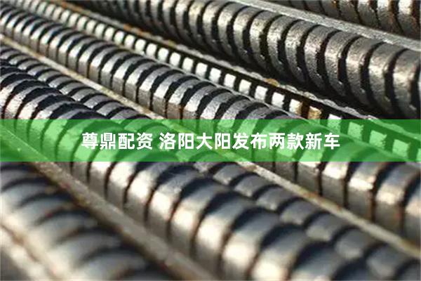 尊鼎配资 洛阳大阳发布两款新车