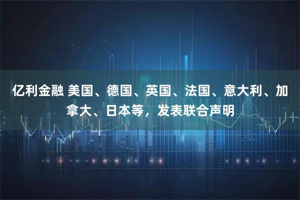 亿利金融 美国、德国、英国、法国、意大利、加拿大、日本等，发表联合声明