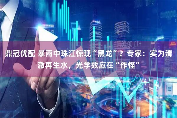 鼎冠优配 暴雨中珠江惊现“黑龙”？专家：实为清澈再生水，光学效应在“作怪”