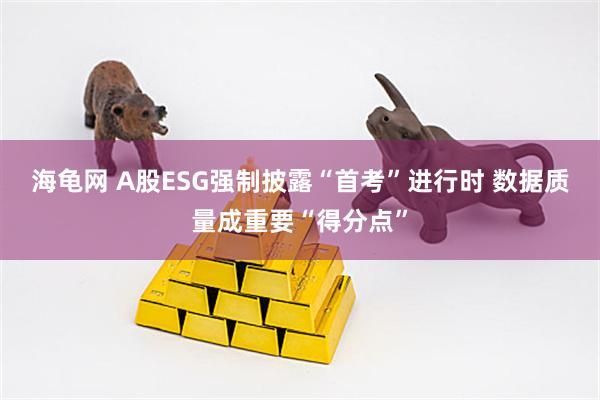 海龟网 A股ESG强制披露“首考”进行时 数据质量成重要“得分点”