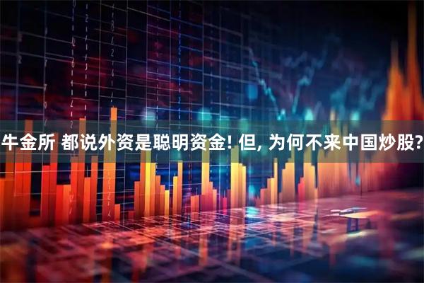牛金所 都说外资是聪明资金! 但, 为何不来中国炒股?