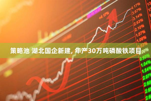 策略池 湖北国企新建, 年产30万吨磷酸铁项目