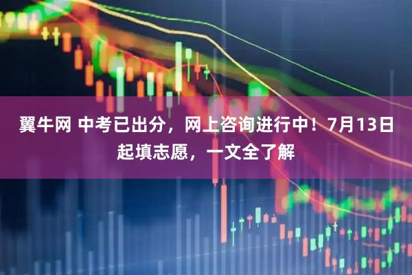 翼牛网 中考已出分，网上咨询进行中！7月13日起填志愿，一文全了解