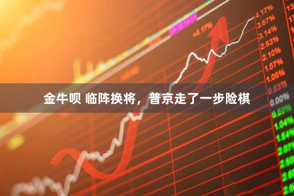 金牛呗 临阵换将，普京走了一步险棋