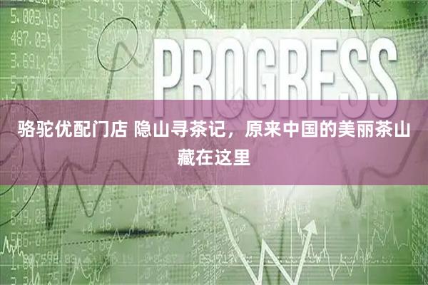 骆驼优配门店 隐山寻茶记，原来中国的美丽茶山藏在这里